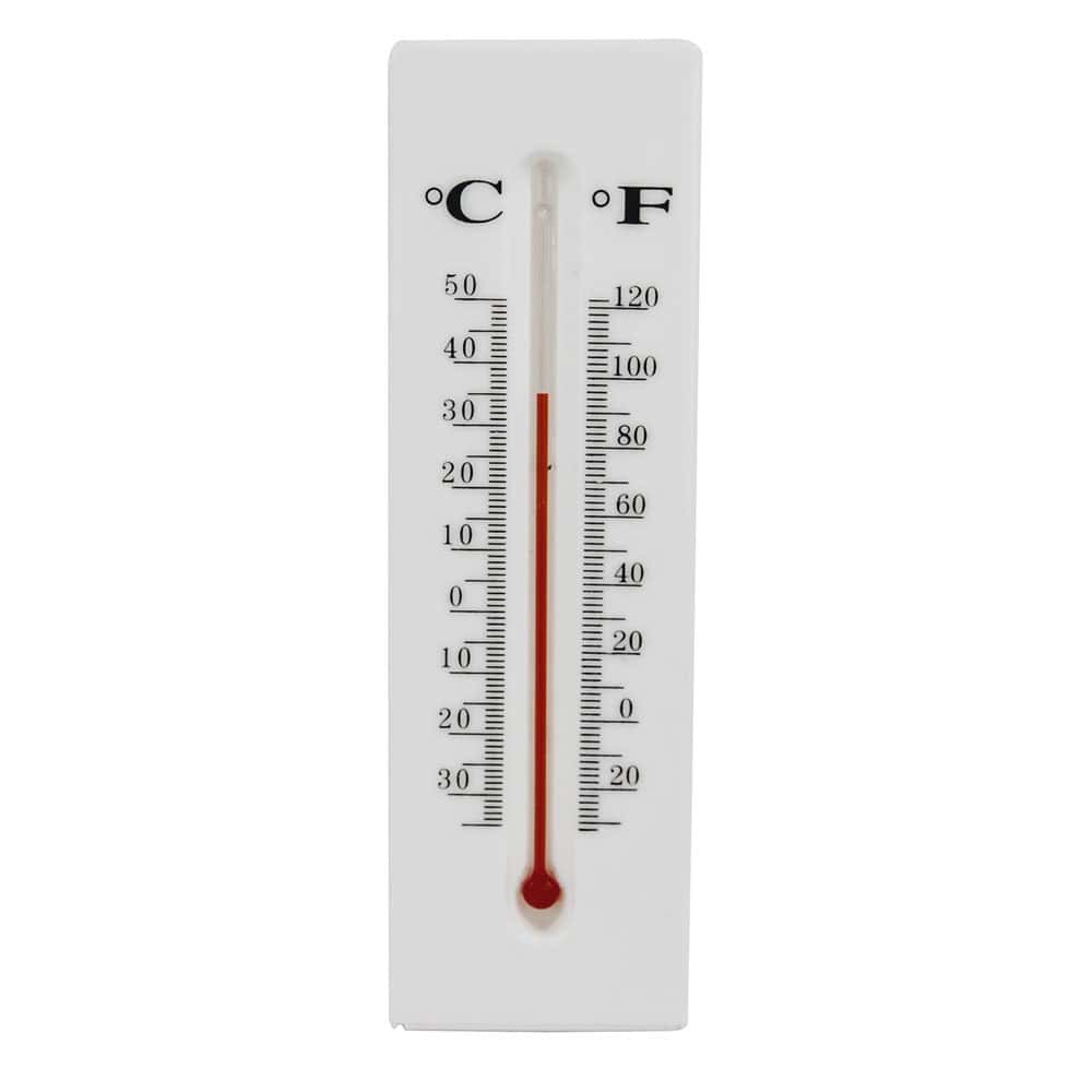 DS-THERMOMETER_cjpg | Escape Unharmed by GSI