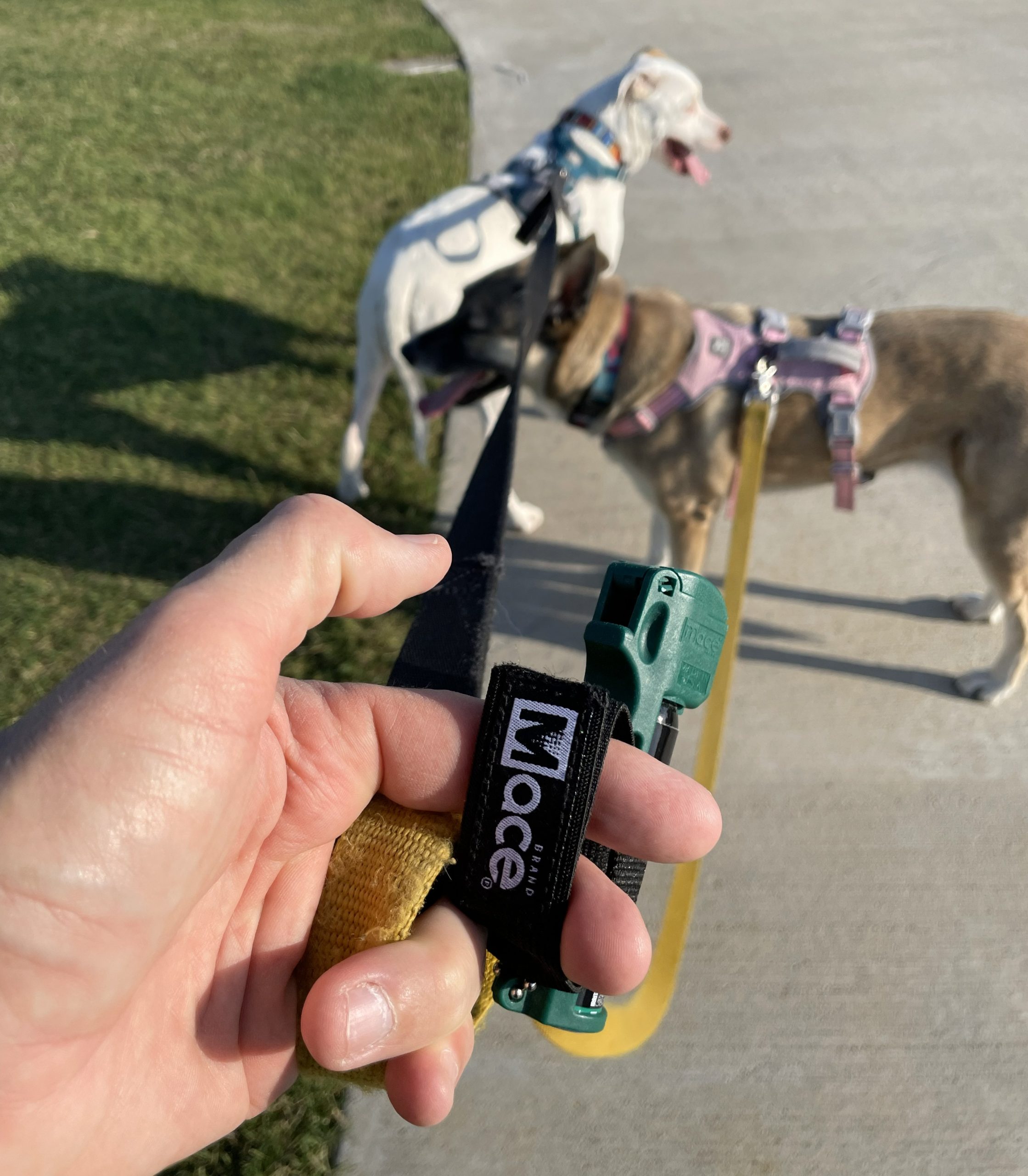 Mace Canine 3 | Escape Unharmed by GSI